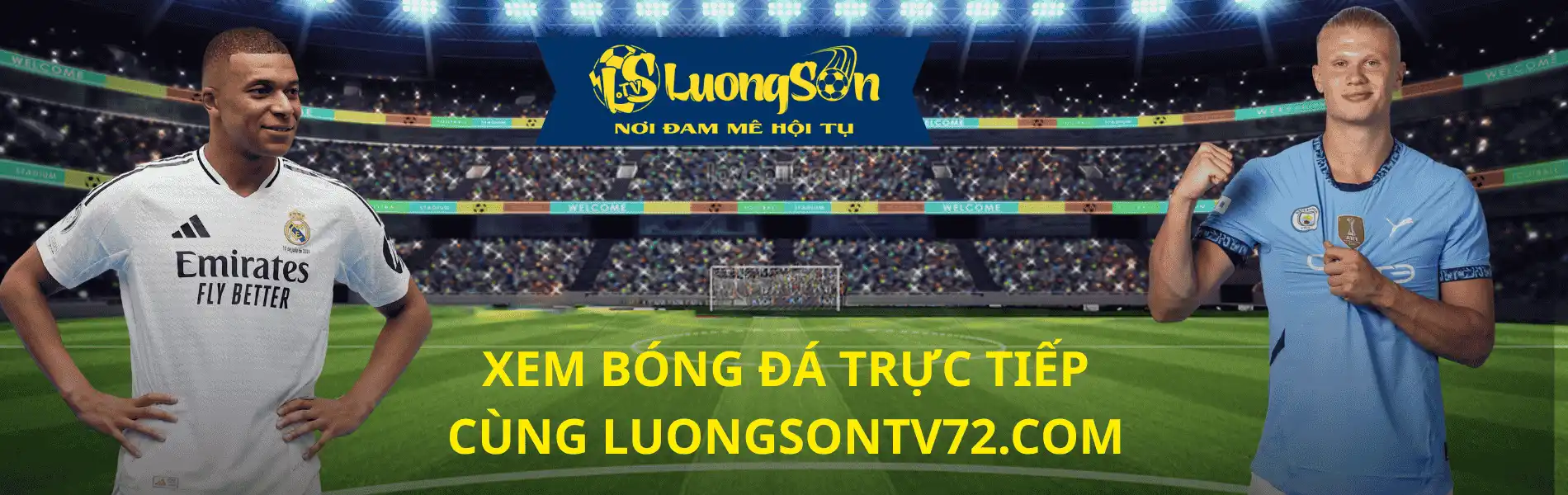 Banner ls72
